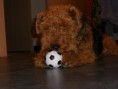 /album/fotogalerie-fotogalerie2/a549435-426285794049200-1722637770-n-jpg1/