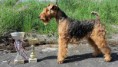 /album/fotogalerie-fotogalerie/a11206966-1015225081821932-8075018057131180654-n-jpg/