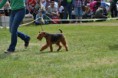 /album/fotogalerie-fotogalerie/a11212670-963959913614230-6640954407219275381-o-jpg/